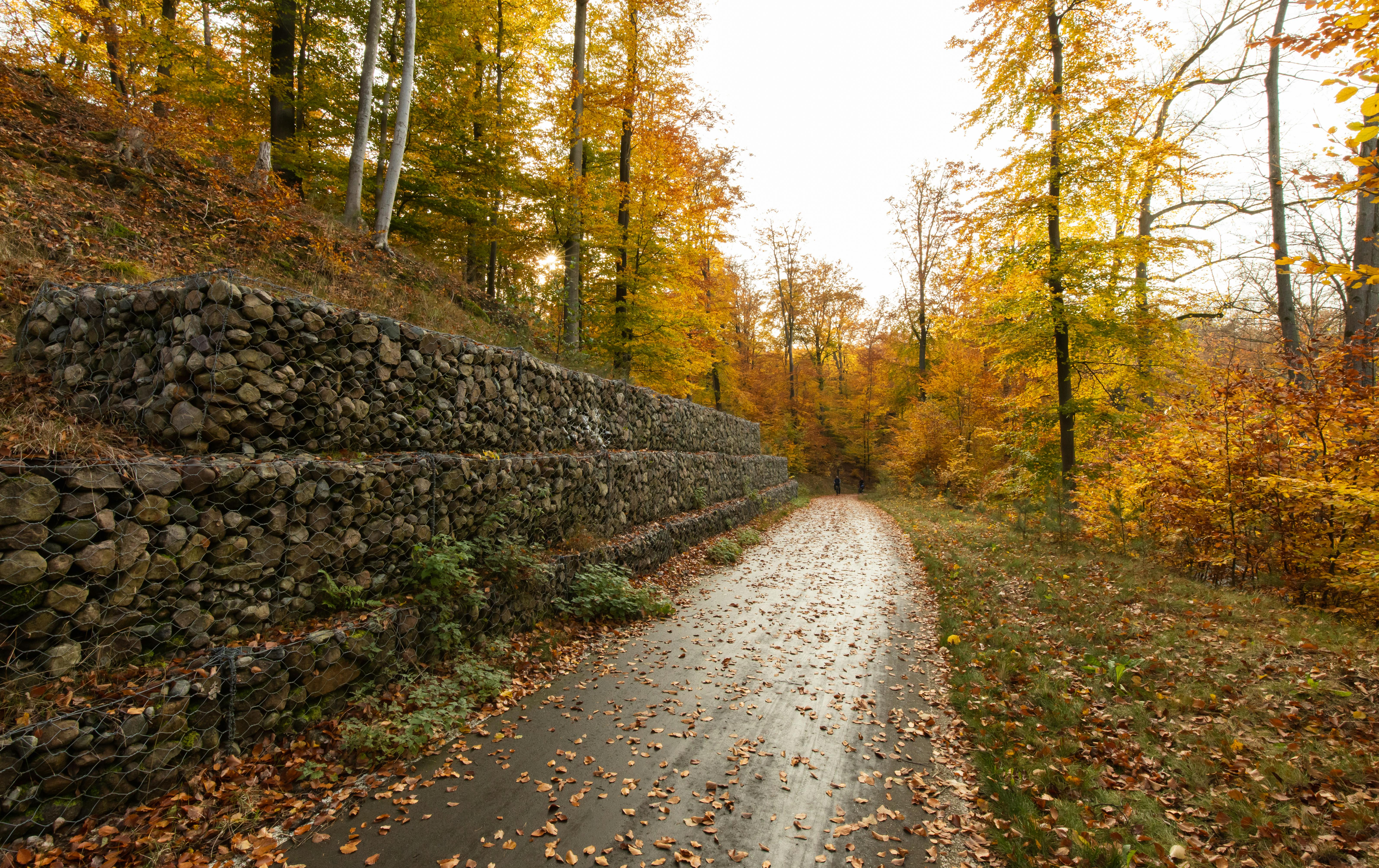 Retaining Walls